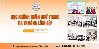 Cao Đẳng Tiếng Trung Học Những Gì